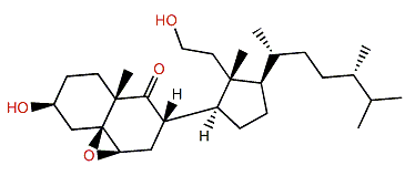 (24S)-5b,6b-Epoxy-3b,11-dihydroxy-24-methyl-9,11-secocholestan-9-one