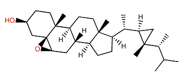 5b,6b-Epoxygorgosterol