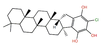 6'-Chlorodisidein