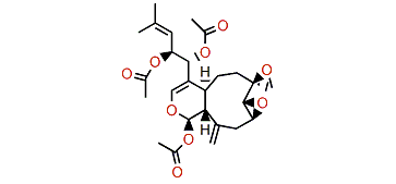 6,7,8-Triepideoxyhavannahine