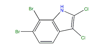 6,7-Dibromo-2,3-dichloro-1H-indole