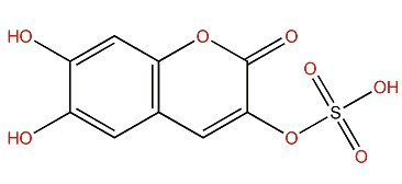 6,7-Dihydroxycoumarin-3-sulfate