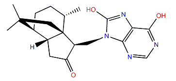 6-(6,8-Dihydroxy-9-purinyl)-suberosanone