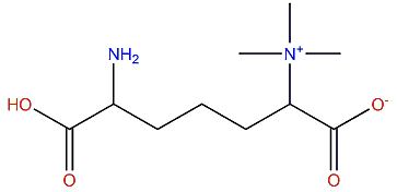 6-Amino-6-carboxy-2-trimethylammoniohexanoate