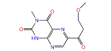 6-(b-Methoxypropionyl)-3-methyllumazine