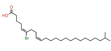 (E,Z)-6-Bromo-23-methyl-5,9-tetracosadienoic acid