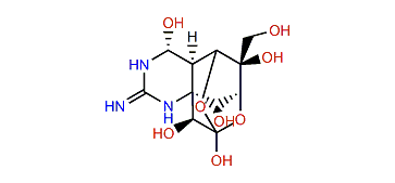 6-Epitetrodotoxin