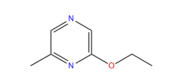 6-Ethoxy-2-methylpyrazine