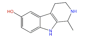 6-Hydroxy-1-methyl-1,2,3,4-tetrahydro-b-carboline