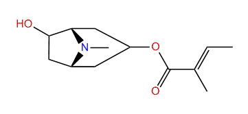 6-Hydroxy-3-tigloyloxytropane