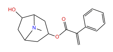 6-Hydroxyapoatropine