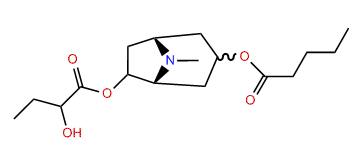 6-(Hydroxybutyroxy)-3-pentanoyloxytropane