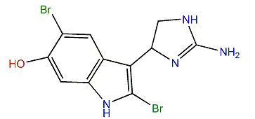 6-Hydroxydiscodermindole