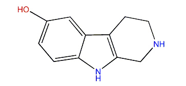 6-Hydroxytetrahydro-b-carboline