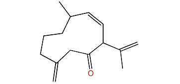 6-oxo-Germacra-4(15),8,11-triene