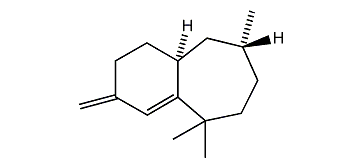 (6R,7S )-2,2,6-Trimethyl-10-methylene-bicyclo[5.4.0]-undec-1(11)-ene