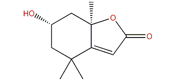 (6R,7aS)-Loliolide