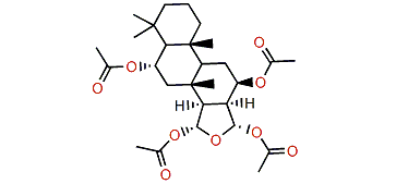 6a,12b,15a,16a-Tetraacetoxyspongian