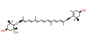 7',8'-Didehydrodeepoxyneoxanthin