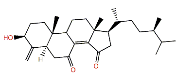 7,15-Oxoconicasterol