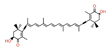 7,8,7',8'-Tetradehydro-3,3'-dihydroxy-beta,beta-carotene-4,4'-dione