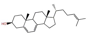 Cholesta-5,7,24-trien-3b-ol