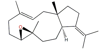 (3E)-7,8-Epoxy-3,12(18)-dolabelladiene