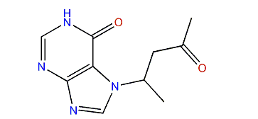 7-(4-Oxopentan-2-yl)-1H-purin-6(7H)-one