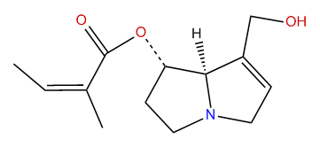 7-O-Angelylheliotridine