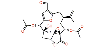7-Acetoxy-8-hydroxylophotoxin