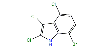7-Bromo-2,3,4-trichloro-1H-indole