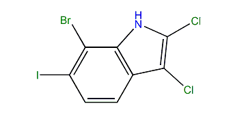 7-Bromo-2,3-dichloro-6-iodo-1H-indole