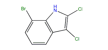 7-Bromo-2,3-dichloro-1H-indole