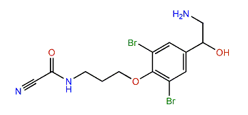 7-Hydroxyceratinamine
