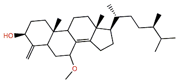 7-Methoxyconicasterol