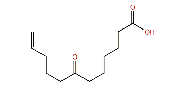 7-oxo-11-Dodecenoic acid