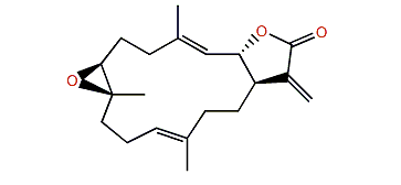 (R,R)-7,8-Epoxy-3,11,15(17)-cembratrien-16,2-olide