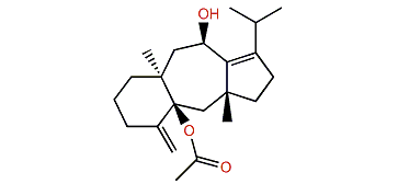 (7S,14S)-7-Acetoxy-1(15),8-dolastadien-14-ol