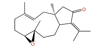 (3E,7S,8S)-7,8-Epoxy-3,12(18)-dolabelladien-13-one
