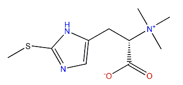 (7S)-7-Methylergothioneine