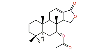 7a-Acetoxyisoagatholactone