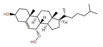 7a-Hydroperoxycholest-5-en-3b-ol