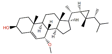 7a-Methoxygorgosterol