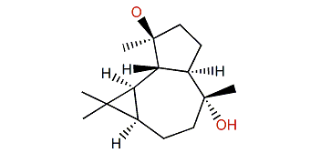 7a,11b-Dihydroxy-1a,8b-aromadendrane