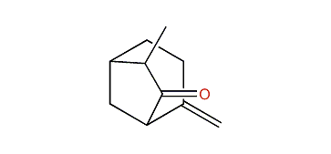 7-Methyl-4-methylenebicyclo[3.2.1]octan-6-one