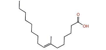 7-Methyl-7-hexadecenoic acid