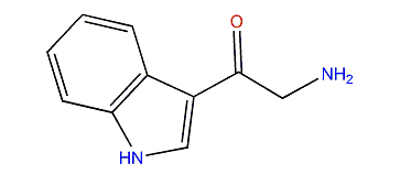 8-Oxo-tryptamine