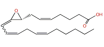 (5Z,8R,9xi,11Z,14Z)-8,9-Epoxy-5,9,11,14-eicosatetraenoic acid