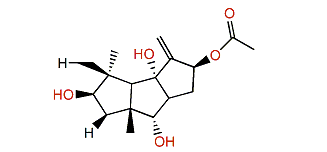 8b-Acetoxy-9(12)-capnellene-2b,5a,10a-triol