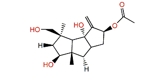 8b-Acetoxy-9(12)-capnellene-3b,10a,14b-triol